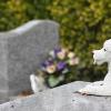 Можно ли похоронить домашнее животное на человеческом кладбище?