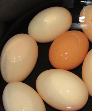 Сколько можно хранить вареные яйца в холодильнике